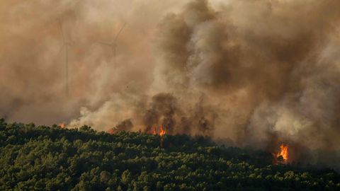 FOTO ⟩ Francijas dienvidos izcēlies plašs mežu ugunsgrēks