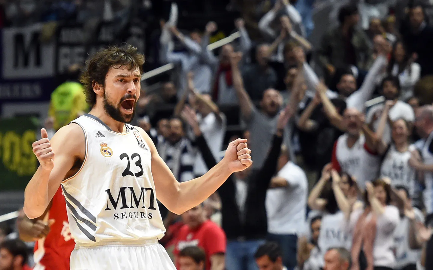 Sergio Llull.