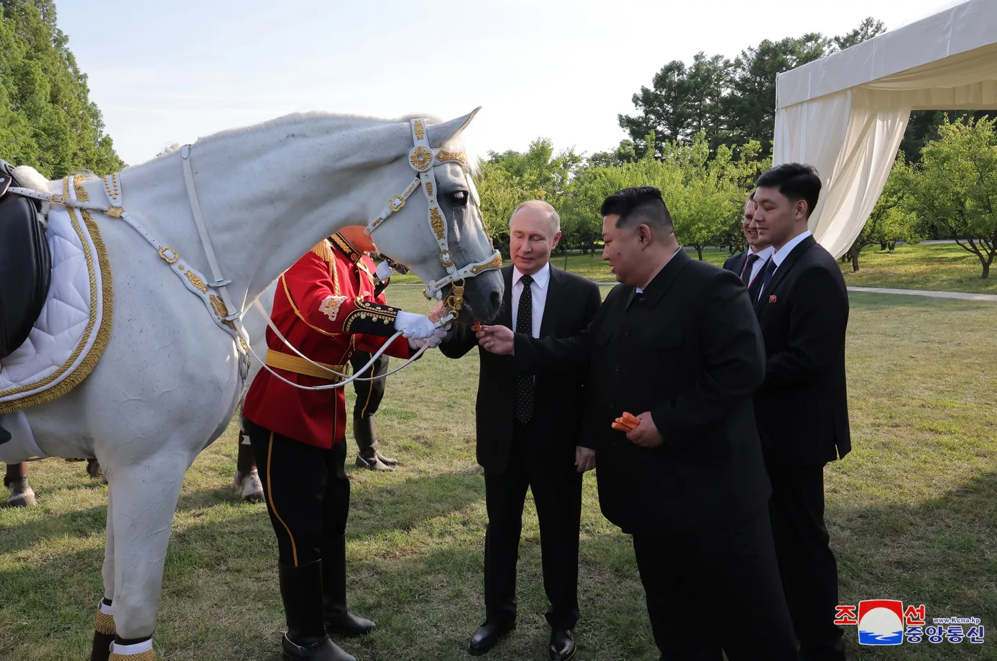 Põhja-Korea riigimeedia avaldatud foto Putini ja Kim Jong-uni kohtumiselt tänavu juunis Pyongyangis Kumsusani aias.