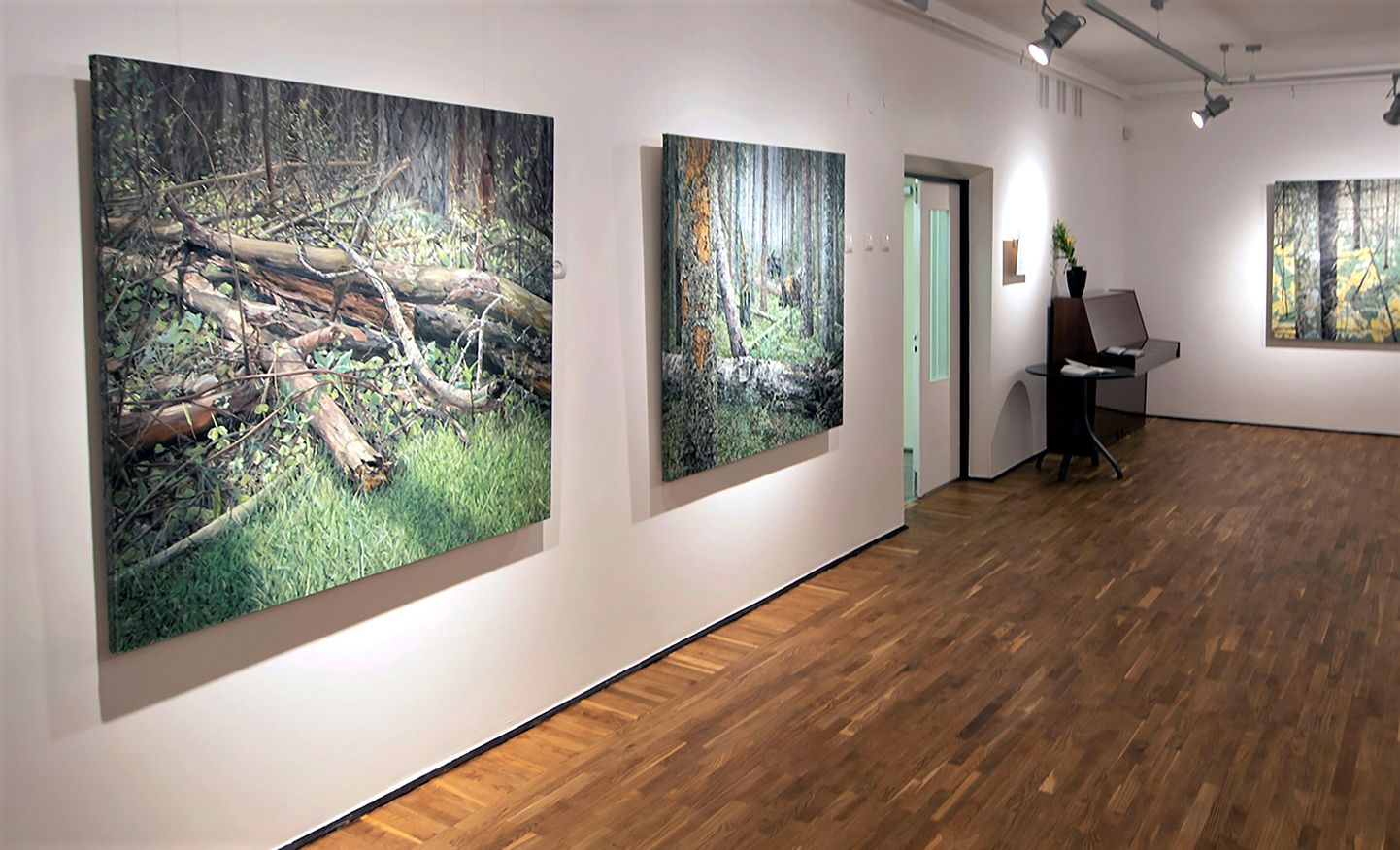 Jane Remmi maalinäitust "Rägastikud, Metsik paradiis, Metsamorfoos ja mnt" näeb Jõhvi kunstikooli galeriis 26. veebruarini.