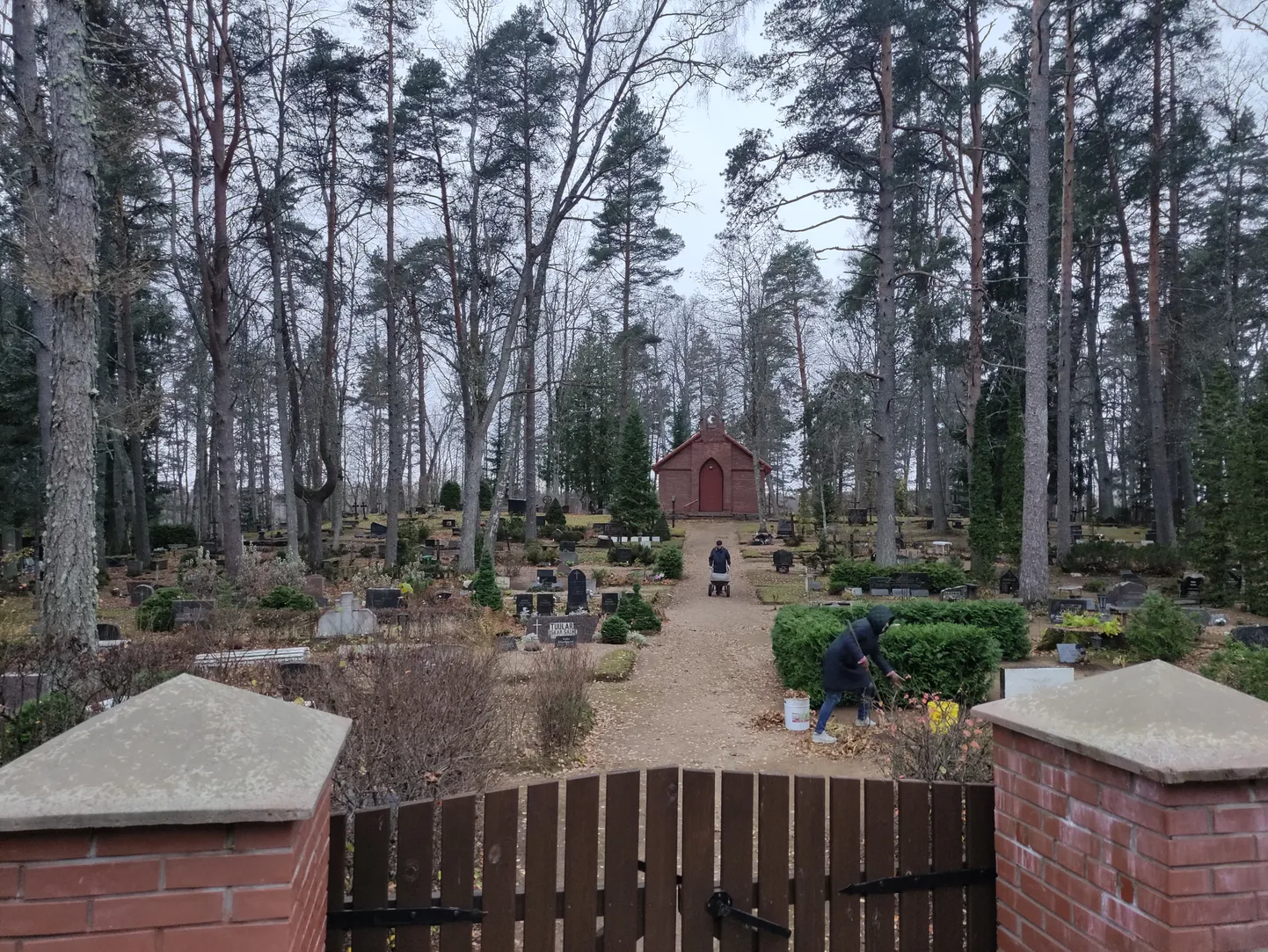 "Nii ilusat ja korras surnuaeda pole sugugi igal pool," oskavad inimesed kalmistuvahi tööd hinnata.