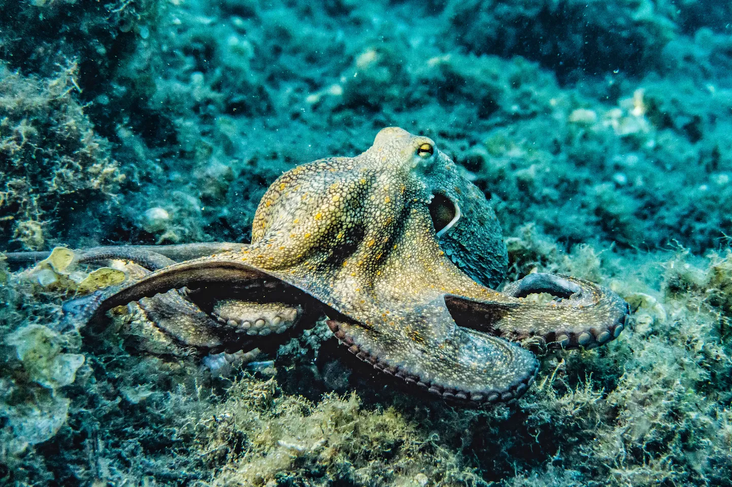 Иллюстративное фото