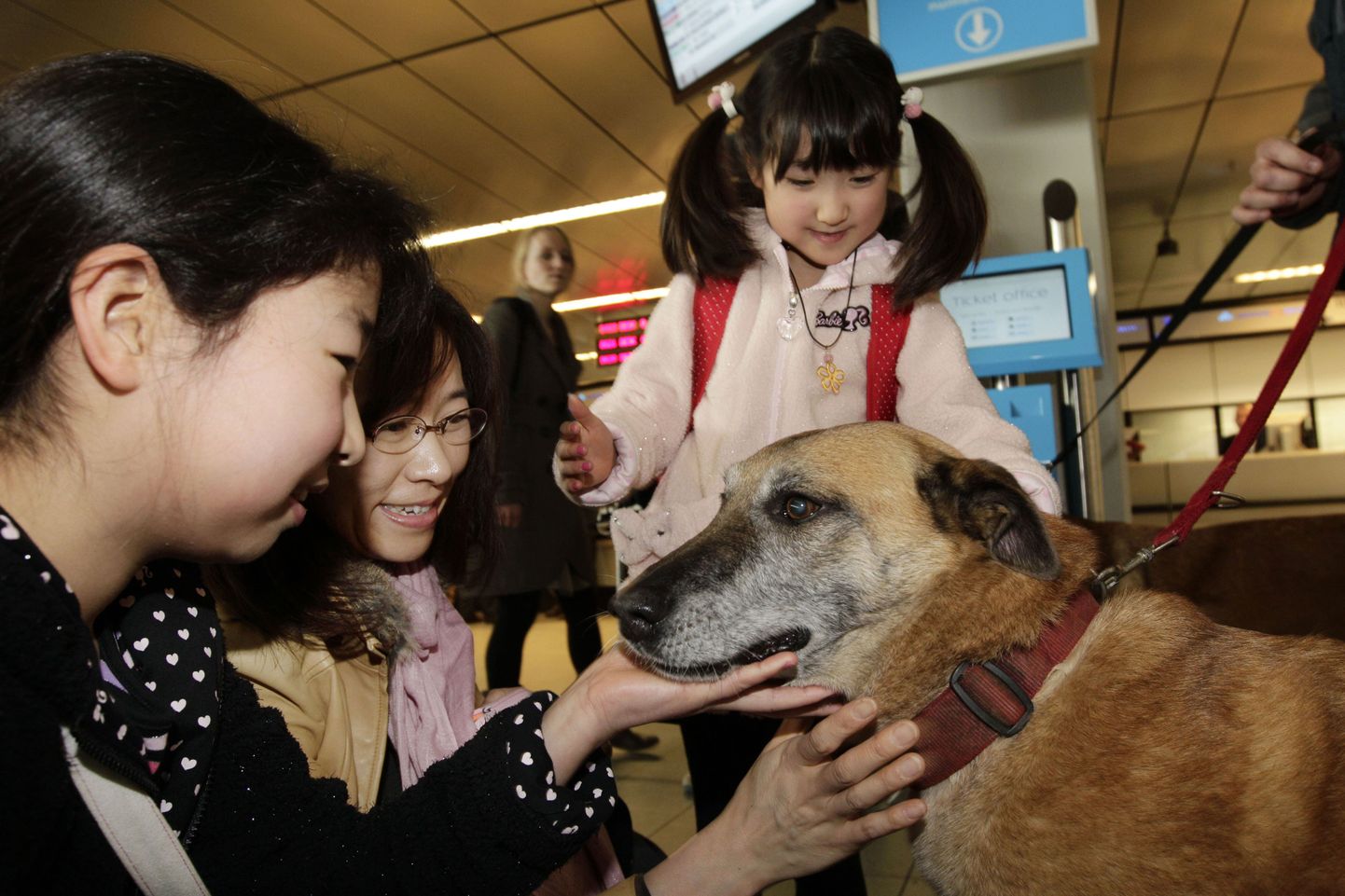 Jaapani koer ei jätnud vigastatud kaaslast
