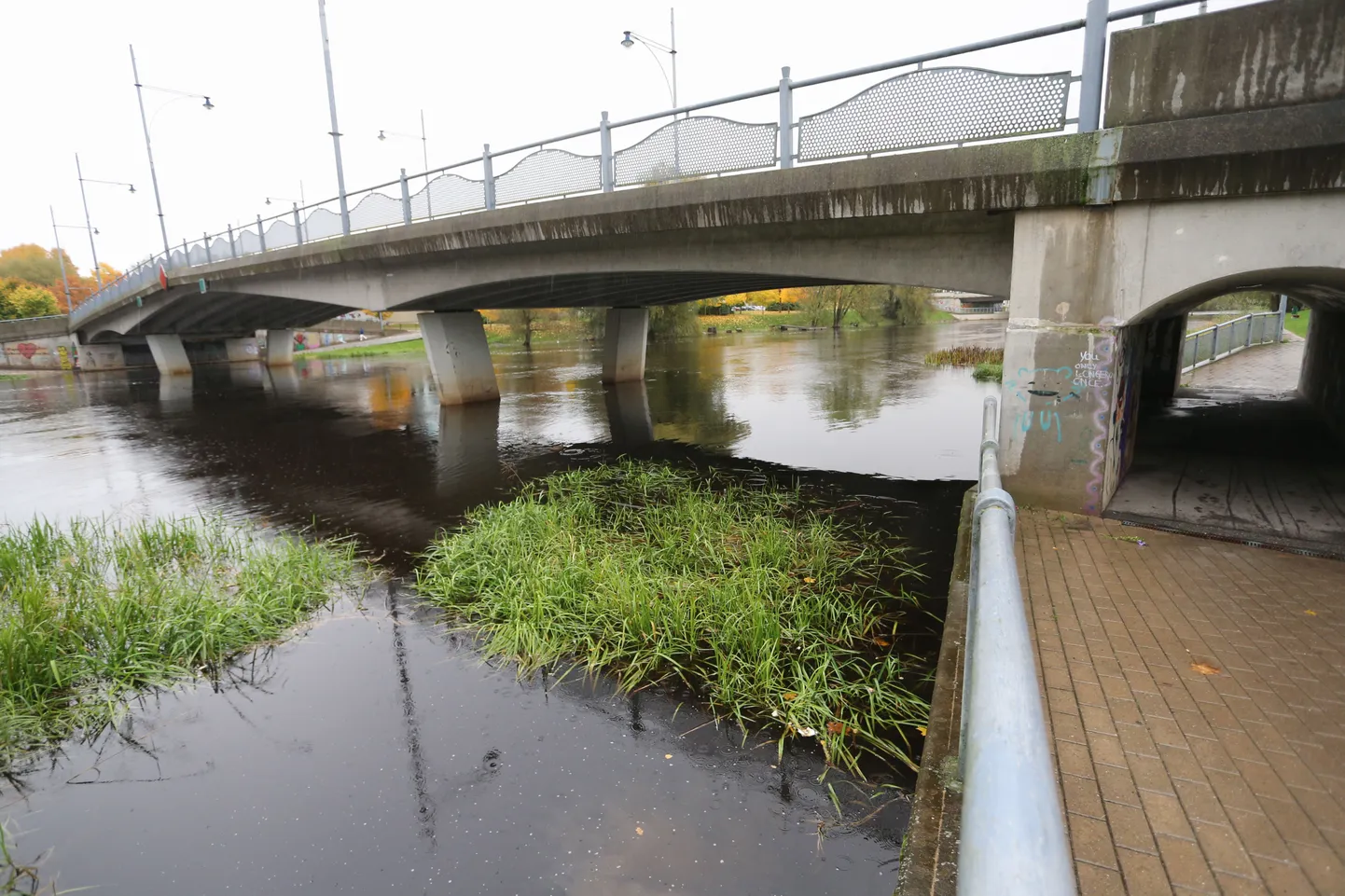 Sagedaste sadude tõttu on Emajõgi jõudsalt kosunud, eile oli veetase pea meeter tavalisest kõrgem. Tartus Kroonuaia silla all olev kõnnitee on veel kuiv, kuid kui vihmasadu ei lakka, siis on jõgi seal varsti tänaval.