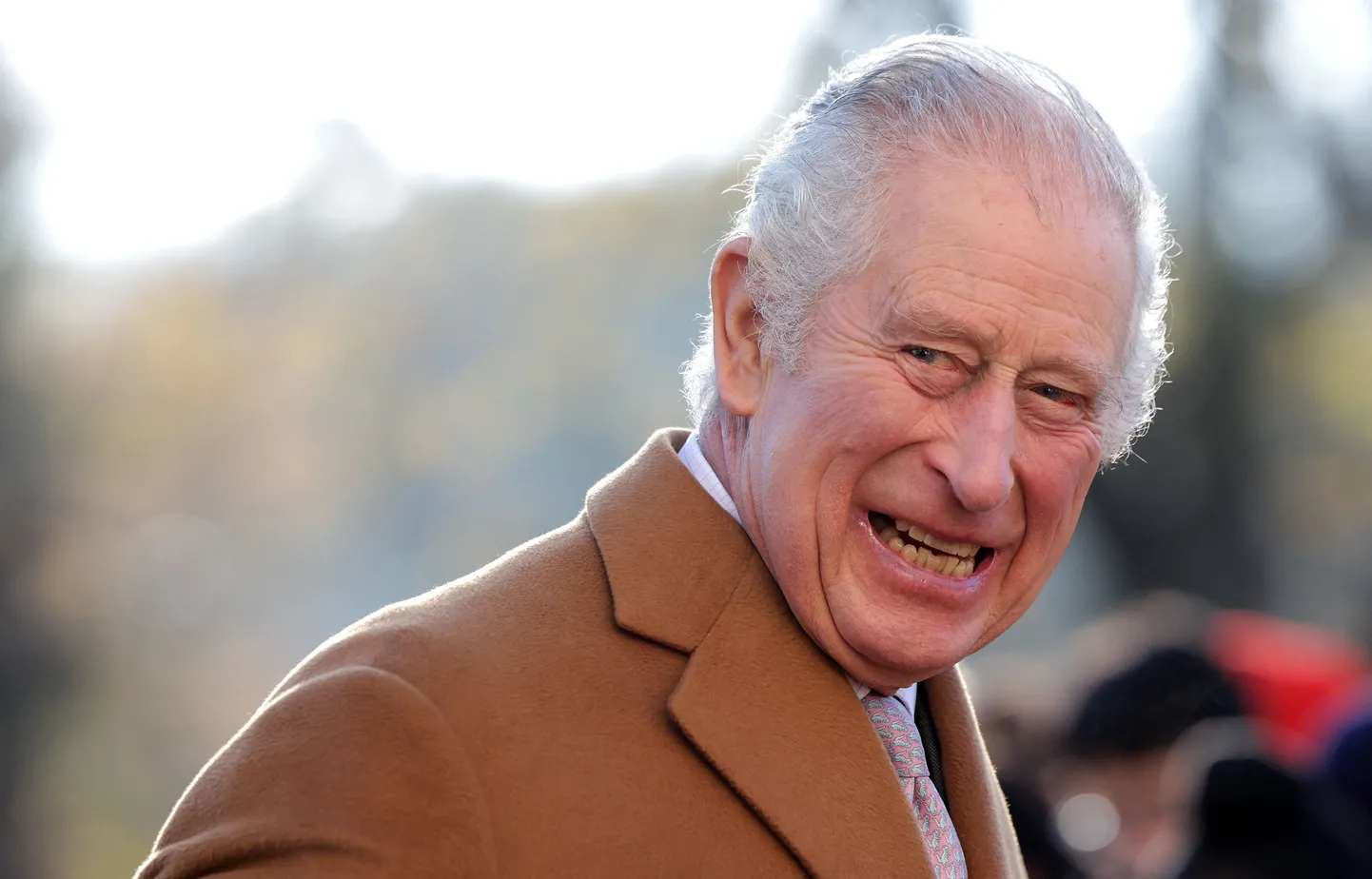 Ühendkuningriigi kuningas Charles III