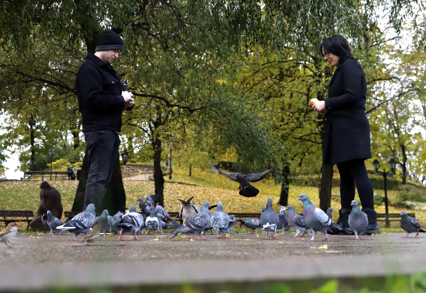 Cilvēki baro baložus Bastejkalna parkā.