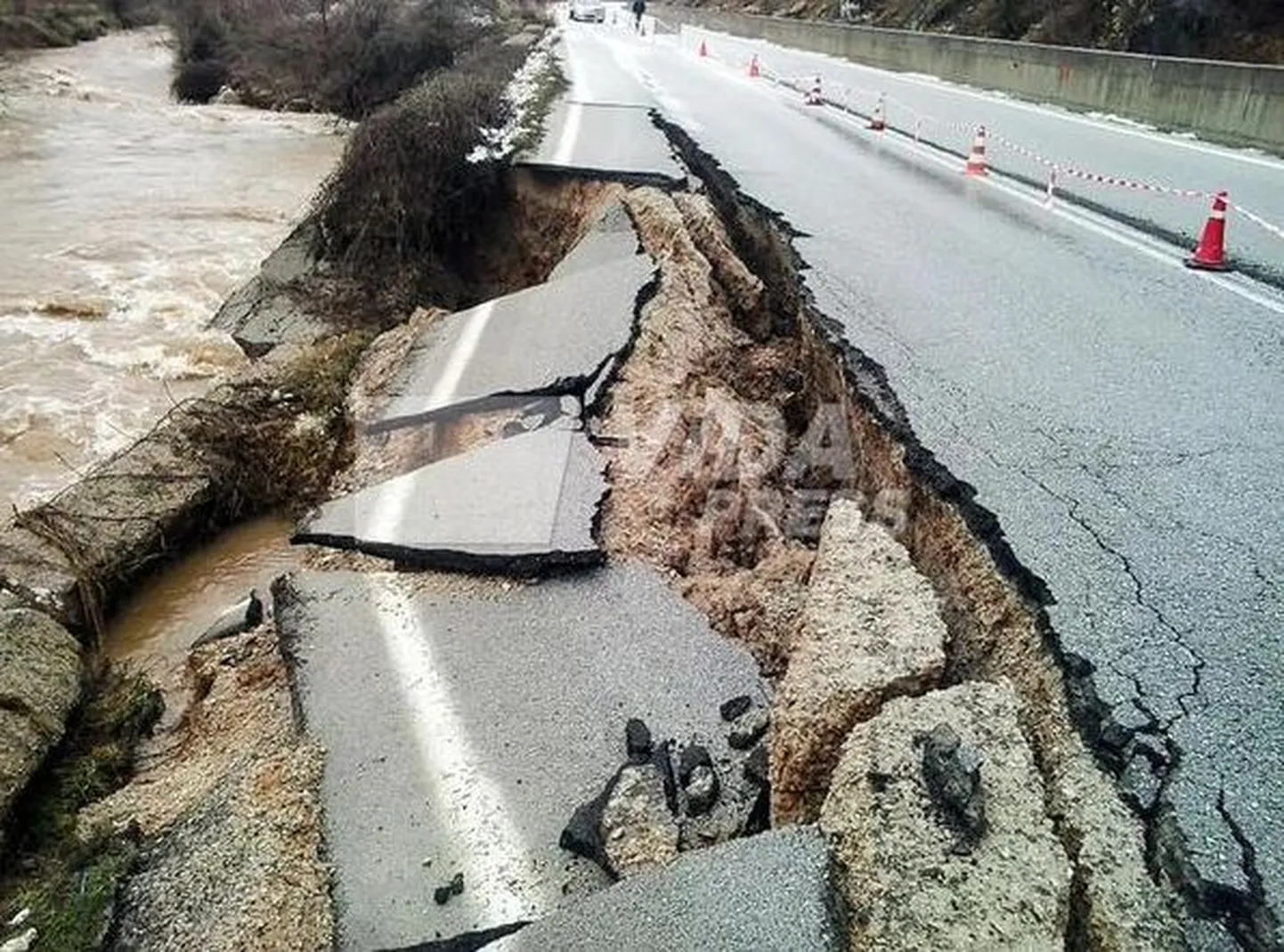Artikli foto