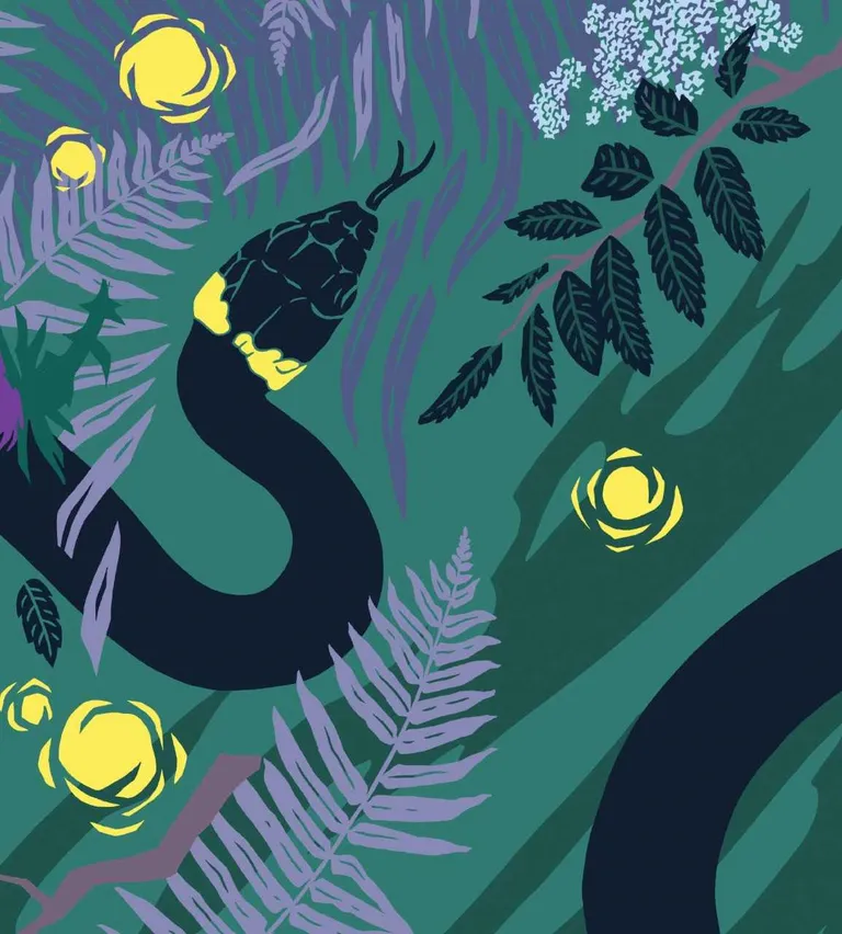 "Jāņuzāles" - jauna interaktīva grafiskā dizaina izstāde