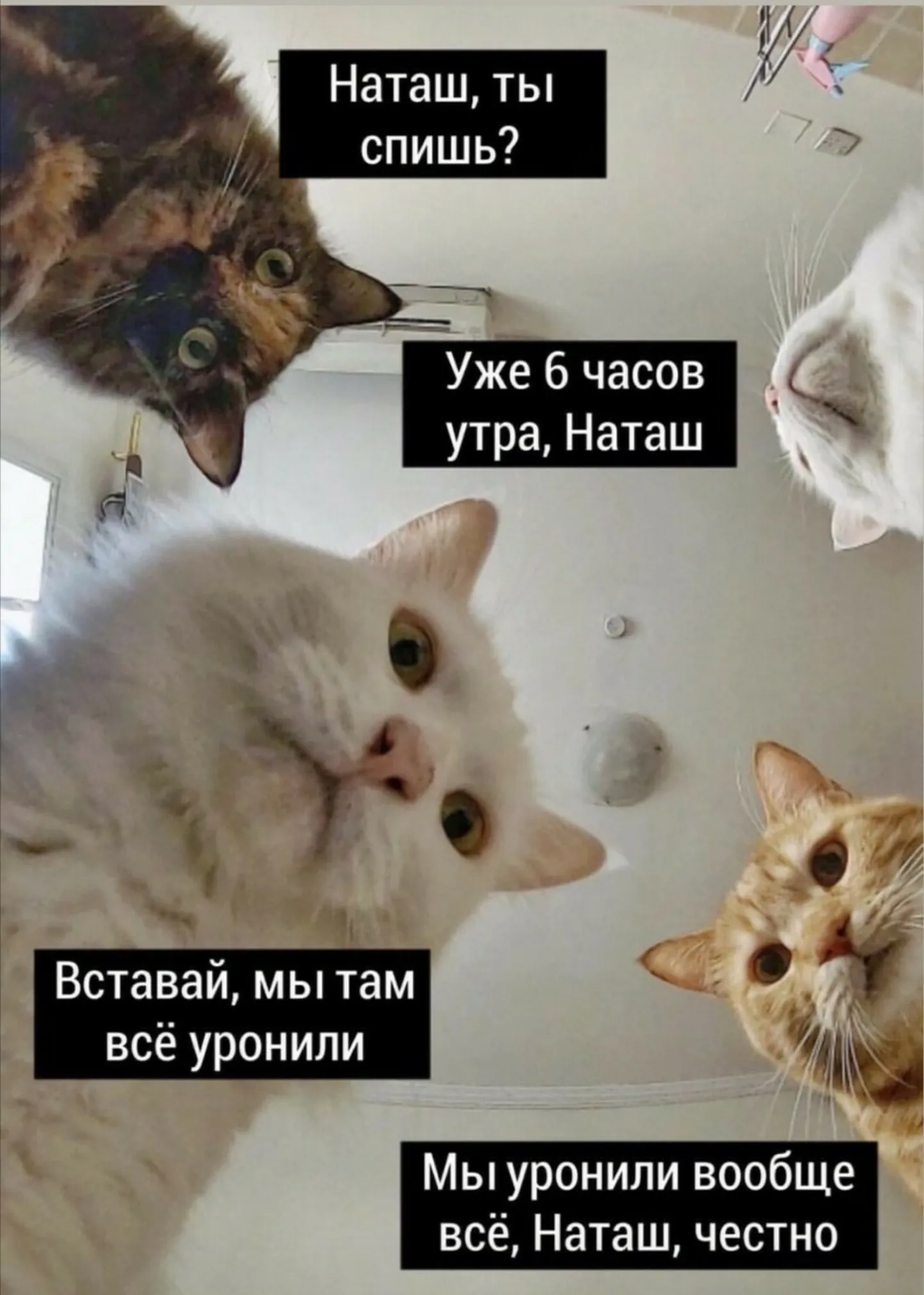 Фото статьи