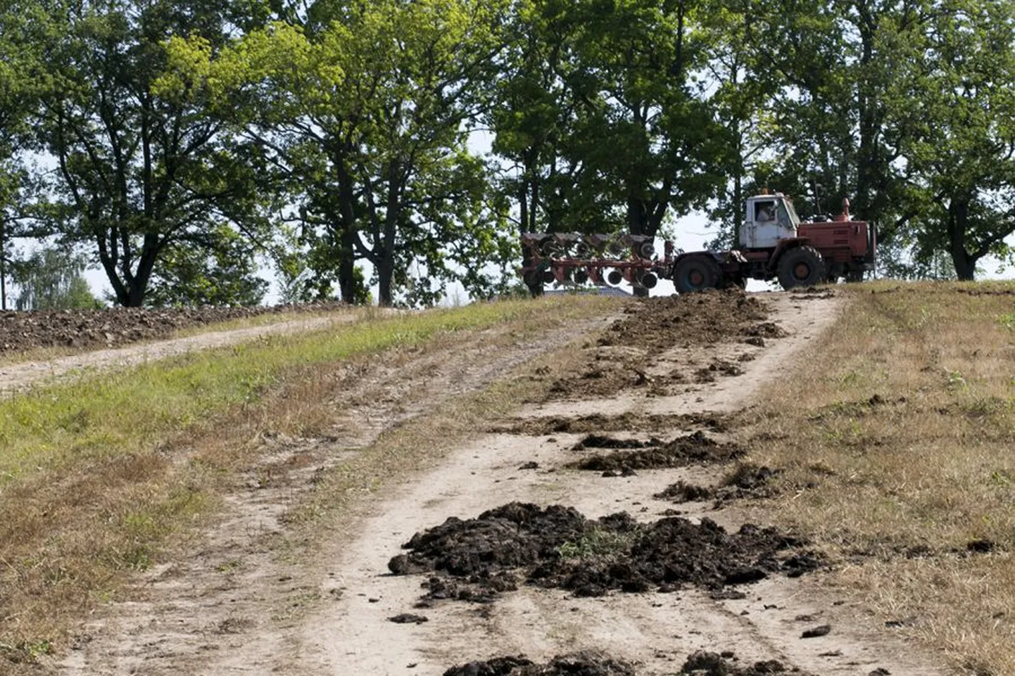 Karula järve äärde viivale teele, mille suvitajad on põllule sisse sõitnud, laotati nüüd mitmekümne meetri ulatuses sõnnikut. Eile pärastlõunal hakati teed talirapsi külvamiseks üles kündma.