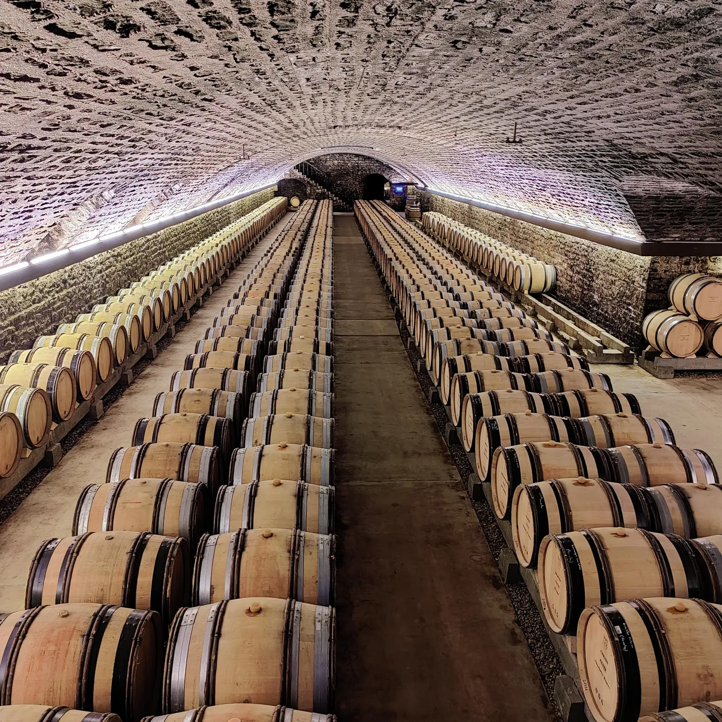 Domaine Faiveley Prantsusmaal Burgundias on üks kuulsamaid veinitootjaid, kellega siitkandirahvas koostööd teeb.