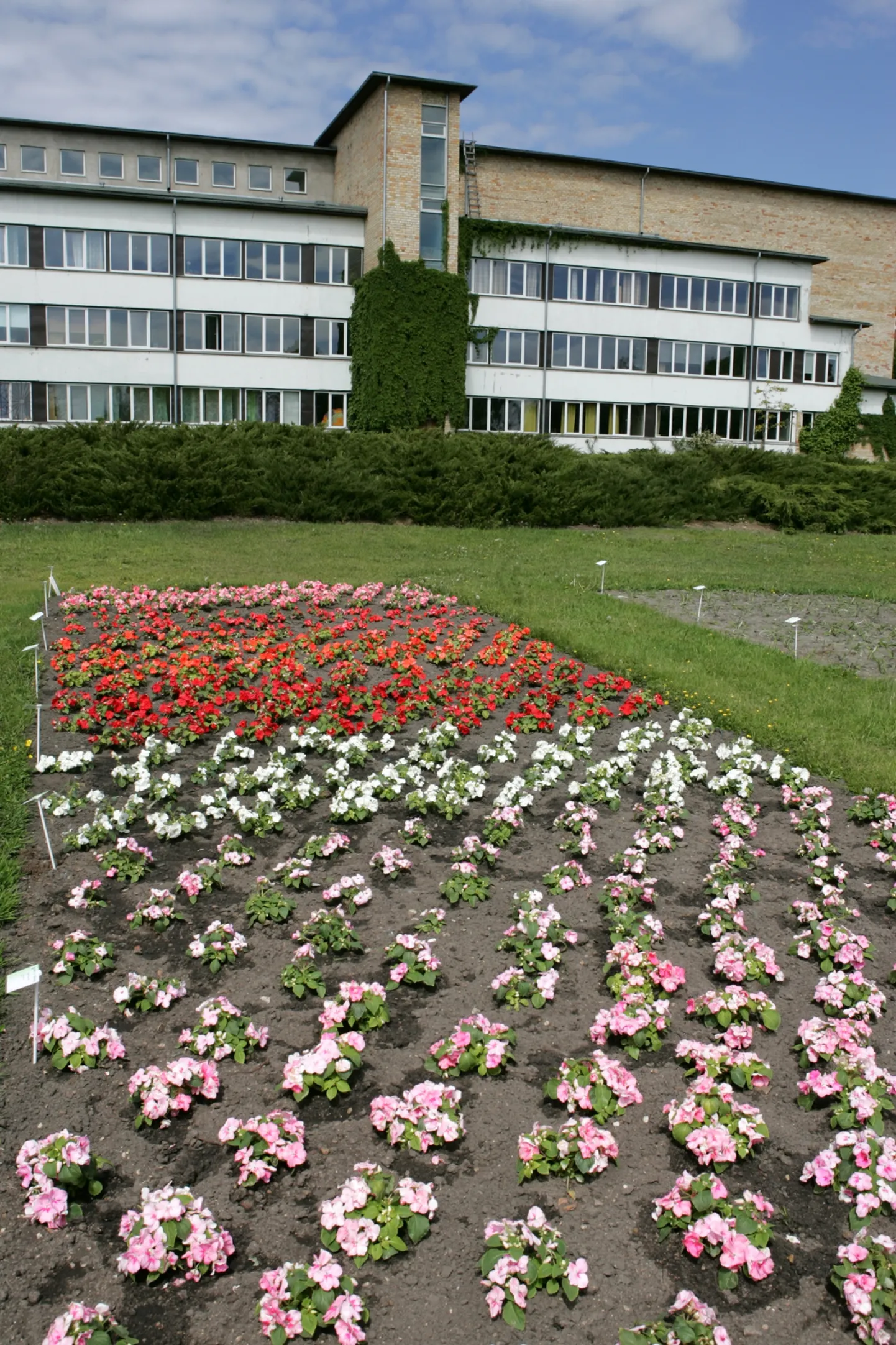 Raksta foto