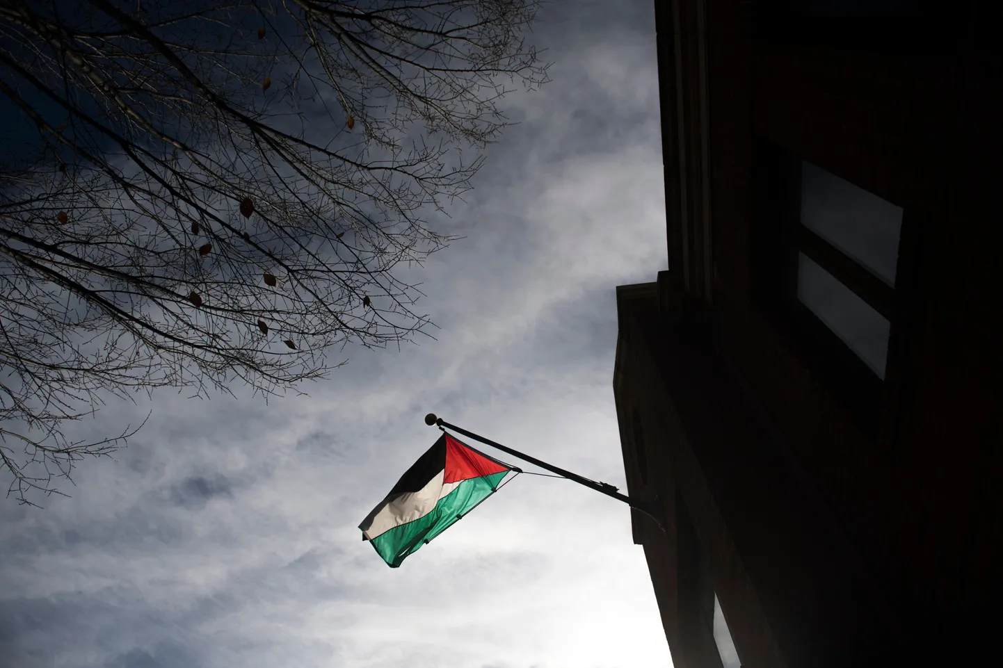 Palestiina lipp.