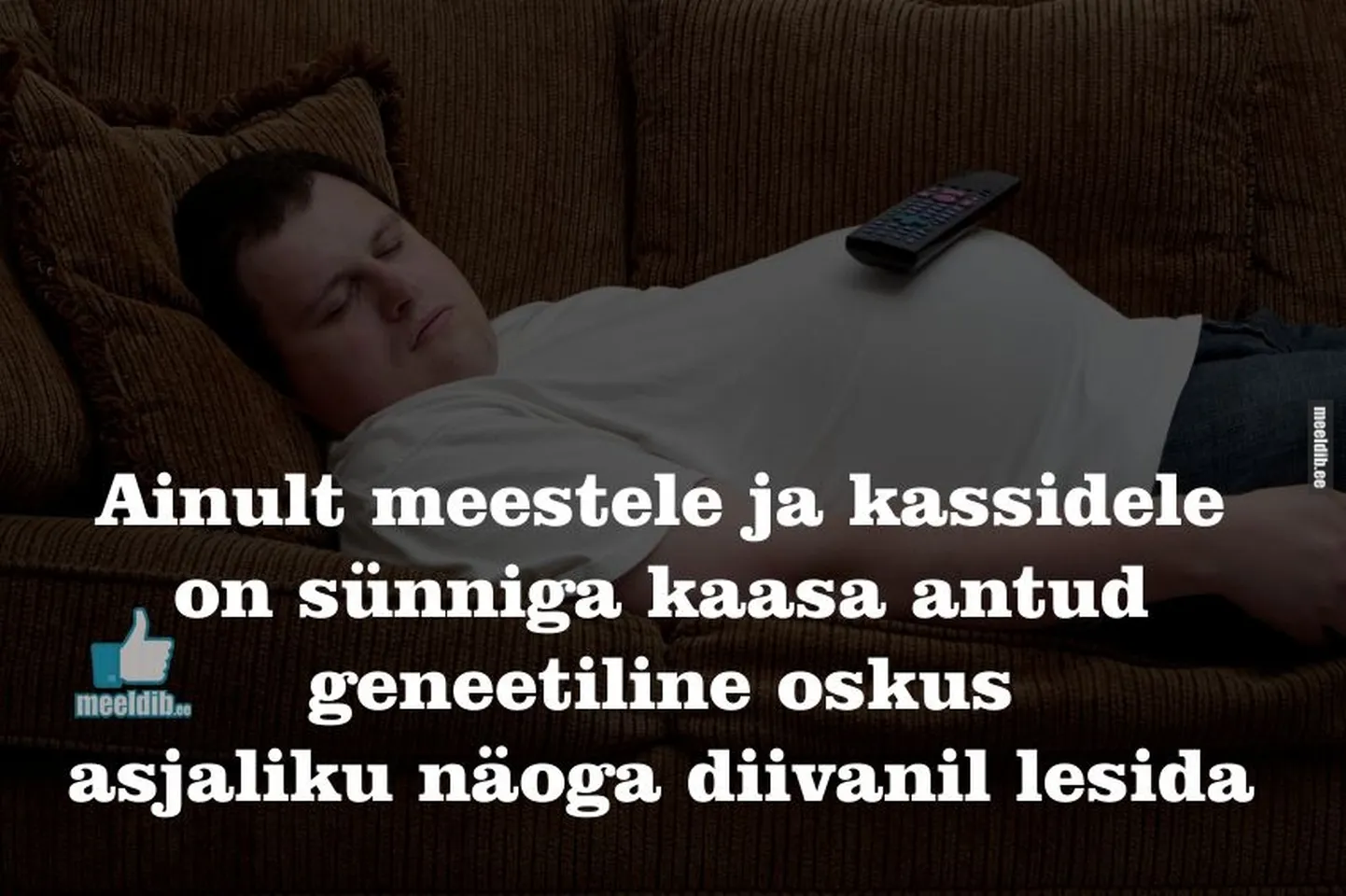 Artikli foto