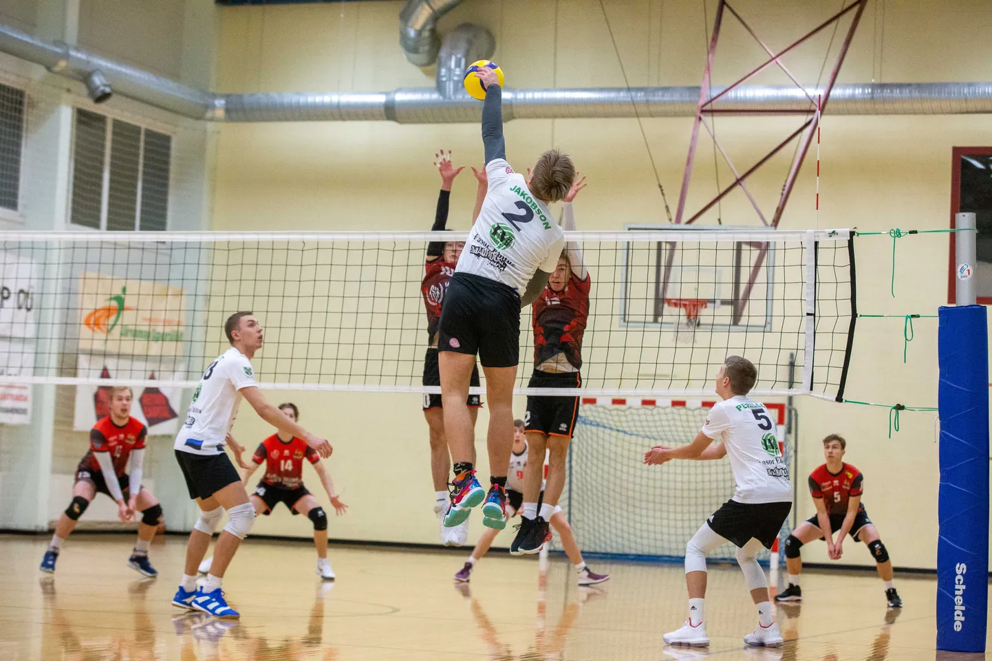 Võrkpall: IMsport/Järvamaa ja Tallinna spordikool
