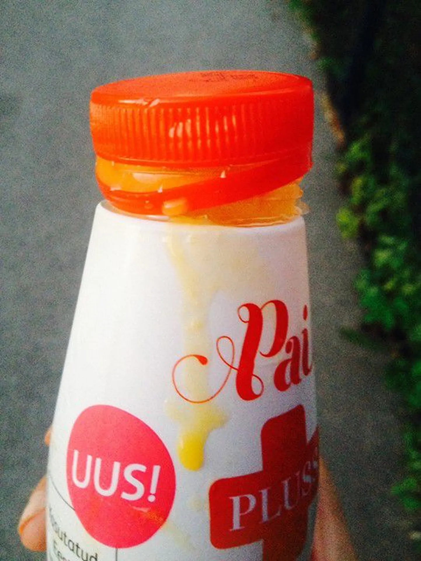 Pai smuuti.