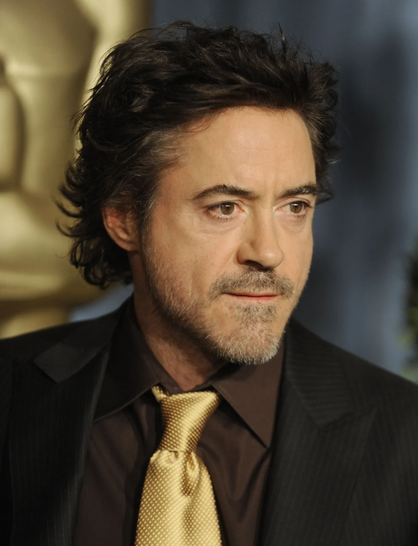 Robert Downey Jr.