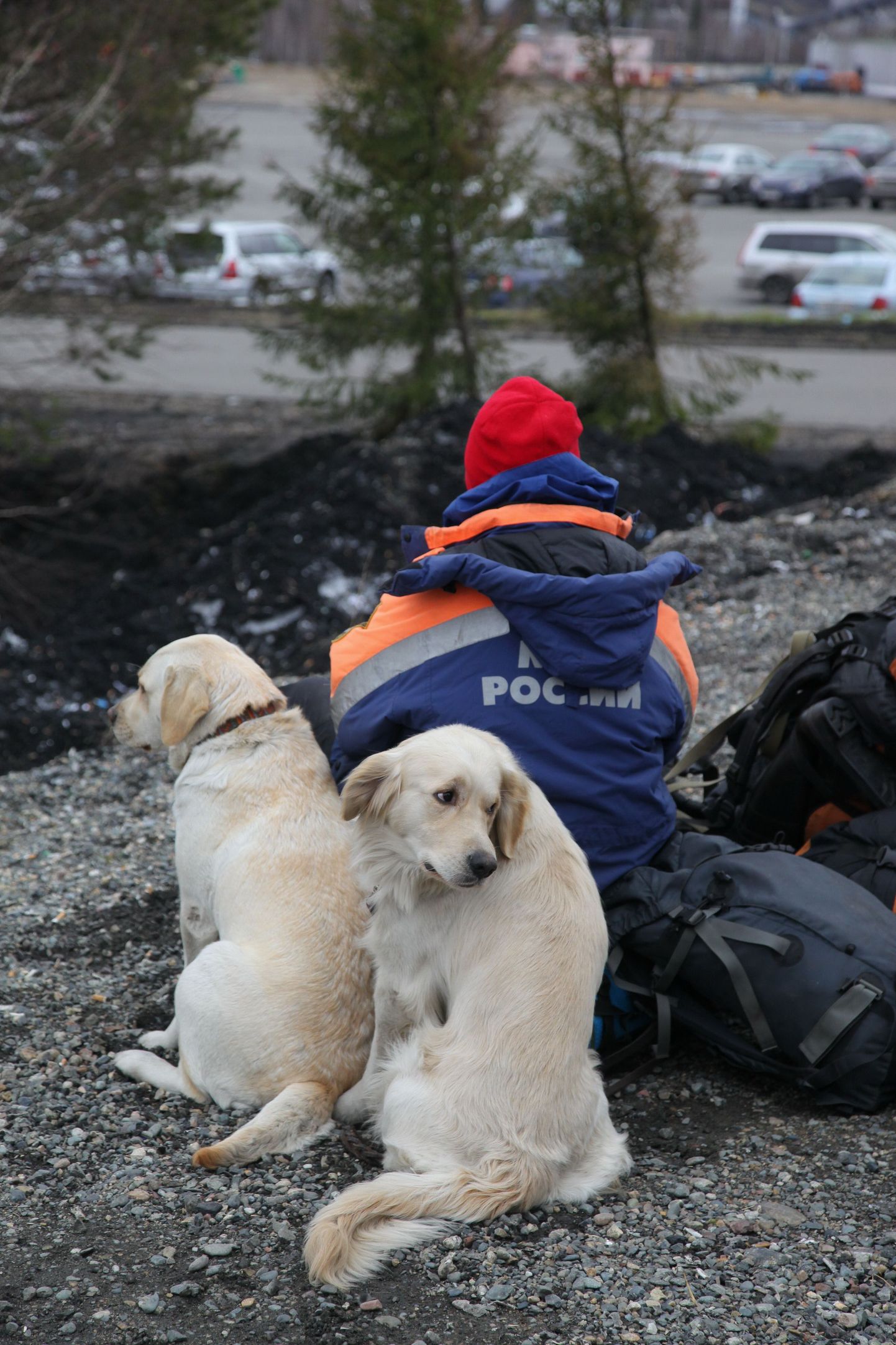 Eriolukordade ministeeriumi töötaja koos kahe koeraga Raspadskaja šahti lähistel.