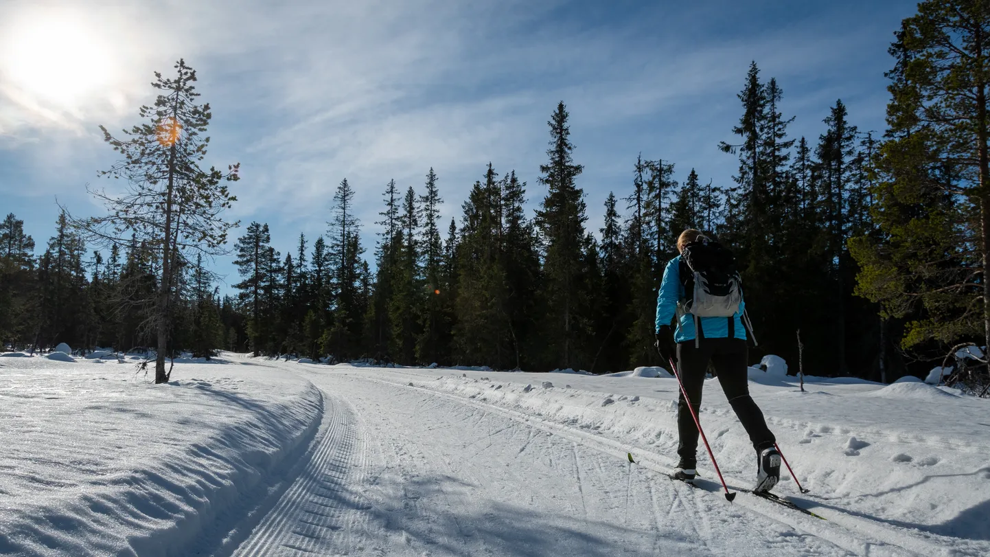 Suusataja. Pilt on illustreeriv
