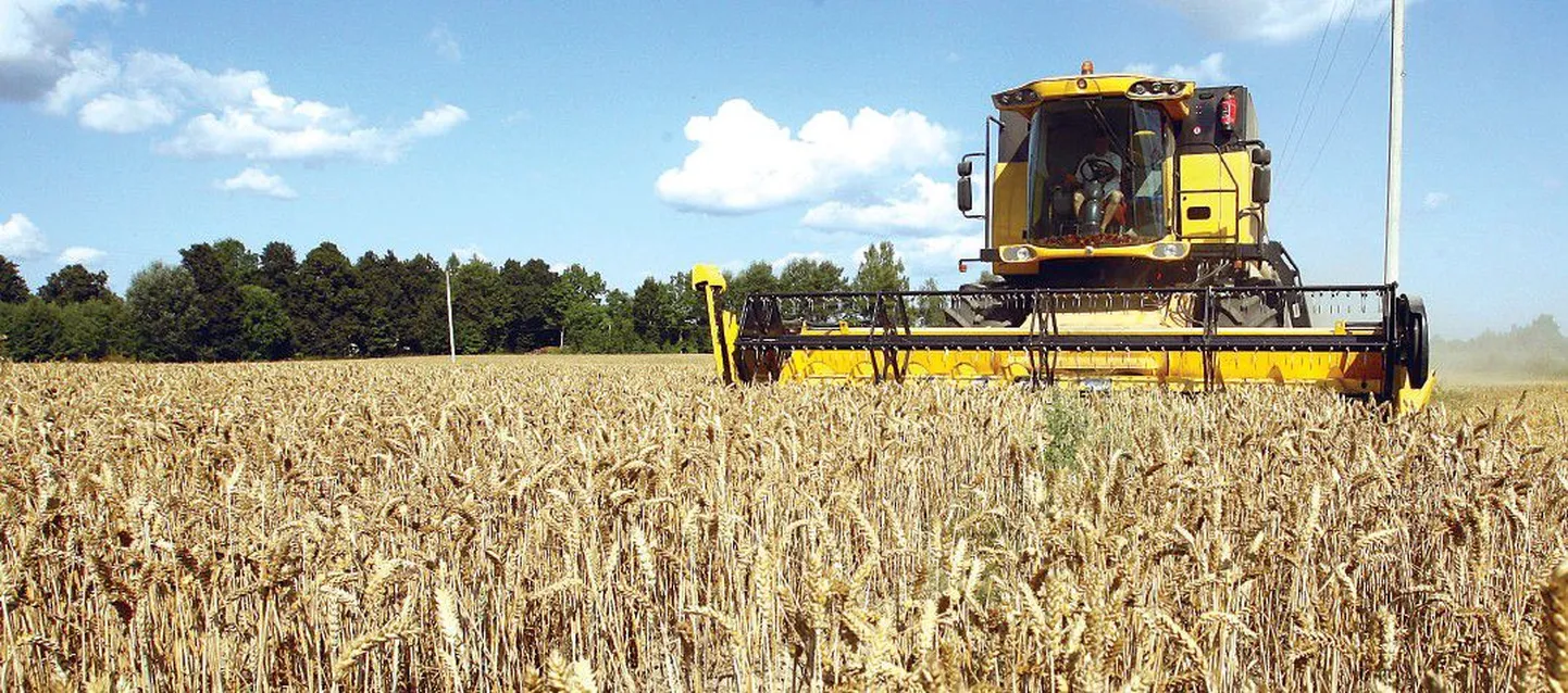 Комбайны New Holland товарищества Kaarel, что в Вараской волости, плывут, как корабли полей, кондиционер работает безупречно, а в кабине играет радио.