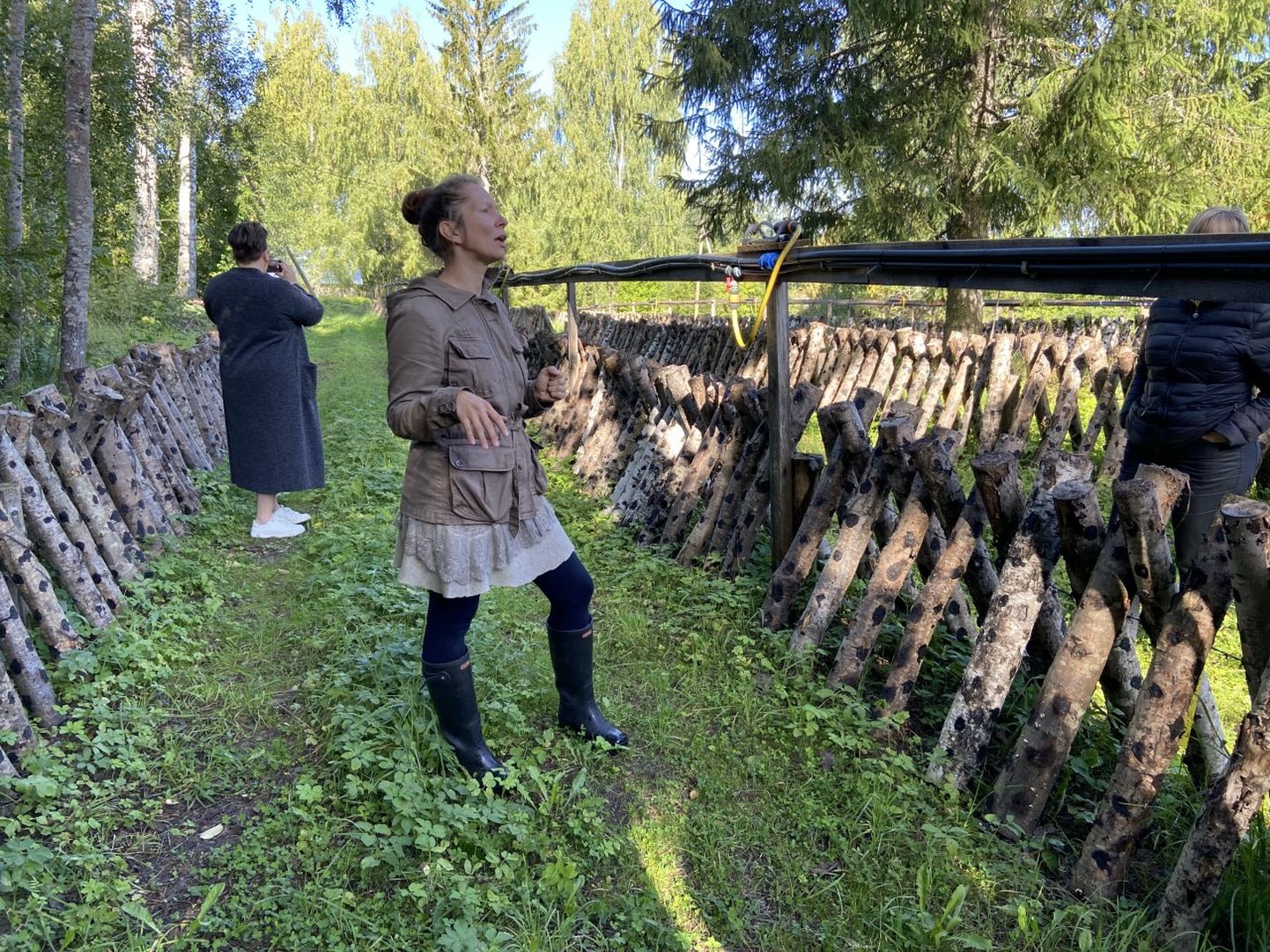 Taheva kandis Harglas tegutsev ökokogukond on tegeleb Eestis ainulaadsete Jaapani päritoli Shiitake seente kasvatamisega avamaal.