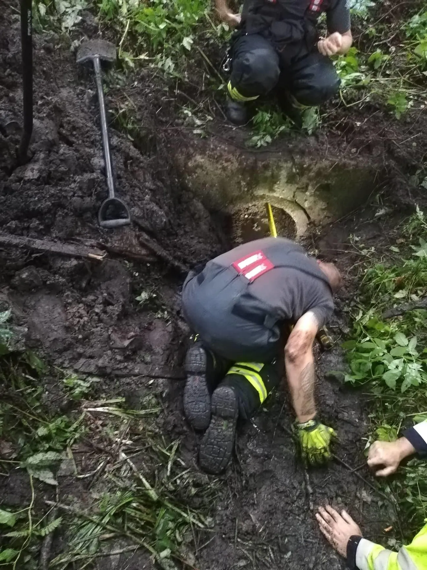 Päästjad püüdsid ebahariliku ülesande käigus rajada juurdepääsu maa alla kinni jäänud koerani.