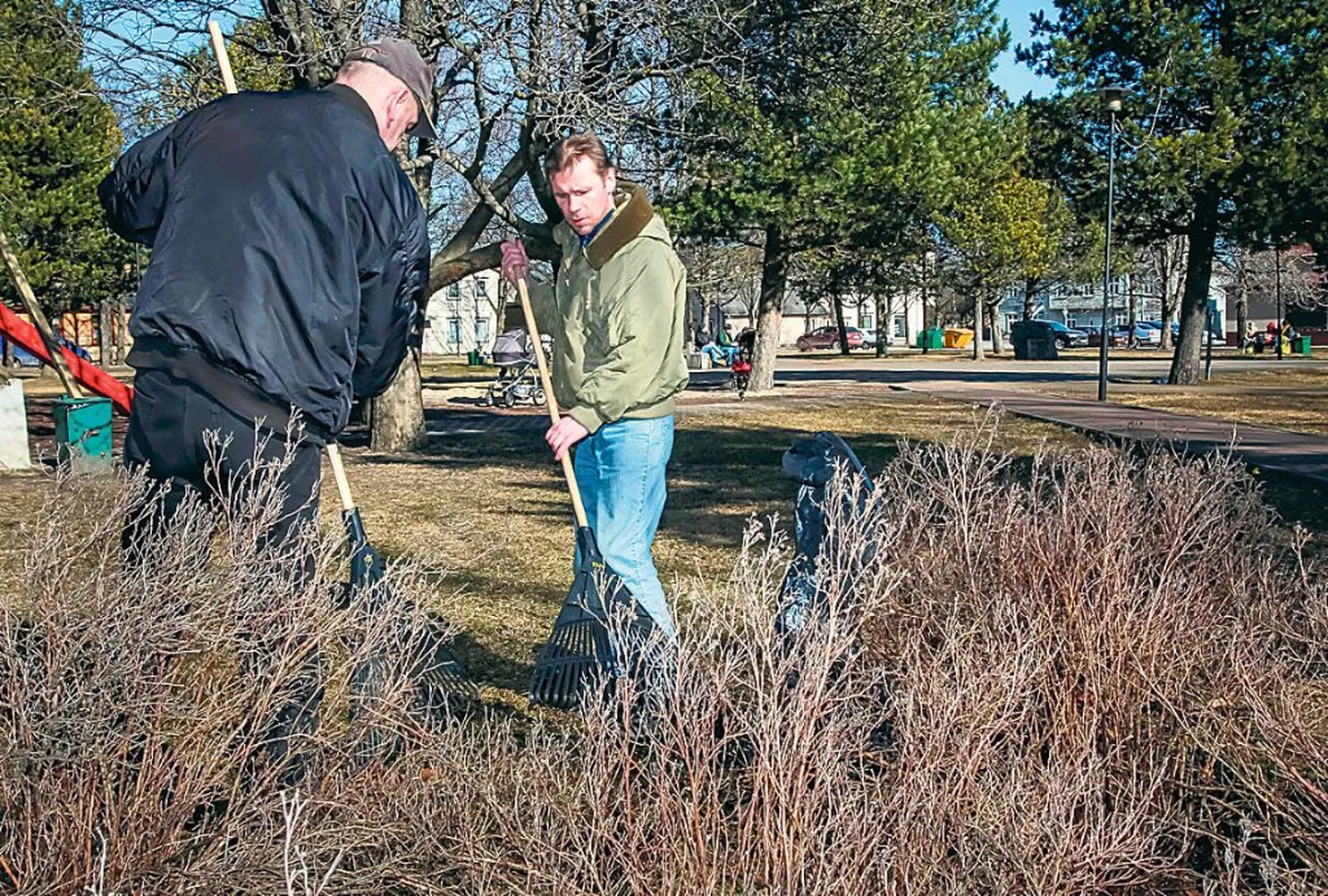 Tänu tööharjutuse programmis osalejatele on Noorteväljaku park tänaseks kenasti heakorrastatud.