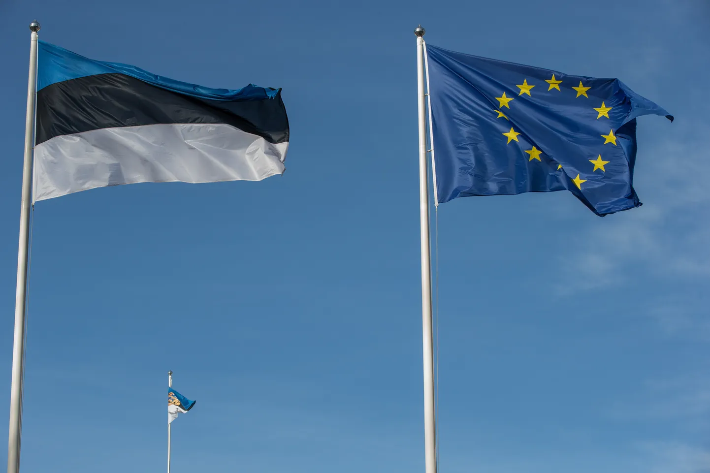 Euroopa Liidu ja Eesti lipud.