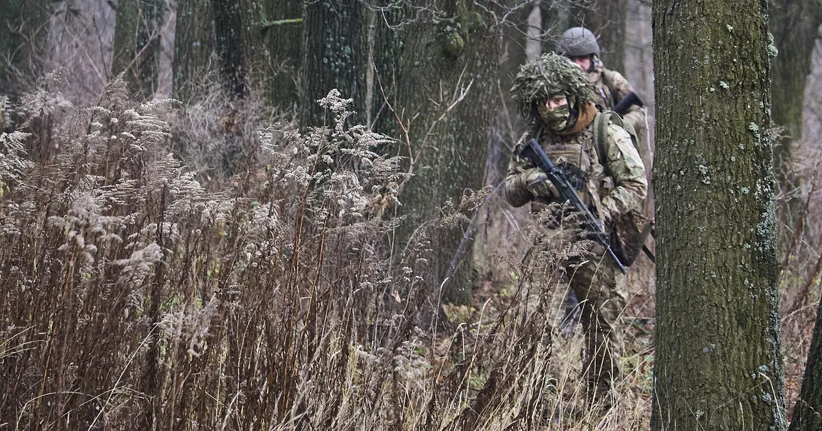Partnerriigid on juba otsustanud uute panustamiste üle Ukraina prioriteetsete vajaduste nimekirja PURL raames, teatas kolmapäeval oma igaõhtuses videopöördumise