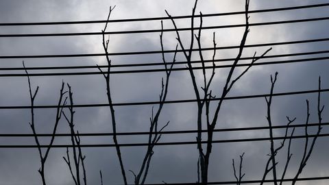 PÕHJAMAISELT KARM ⟩ Nord Pool näitab neljapäeval hambaid