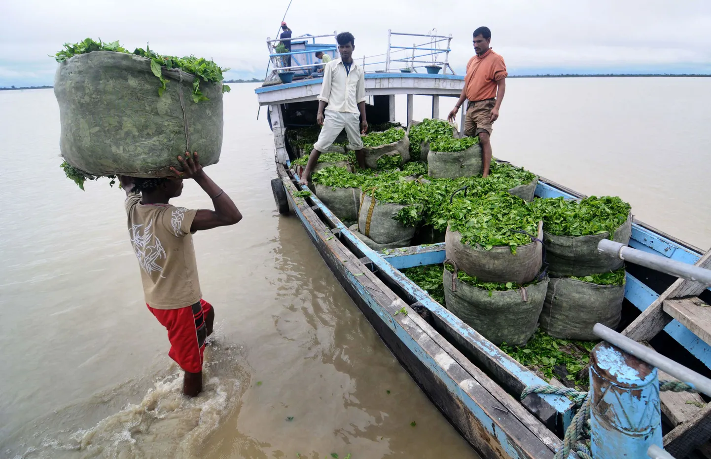 Indias lõppes töövaidlus juhi tapmisega