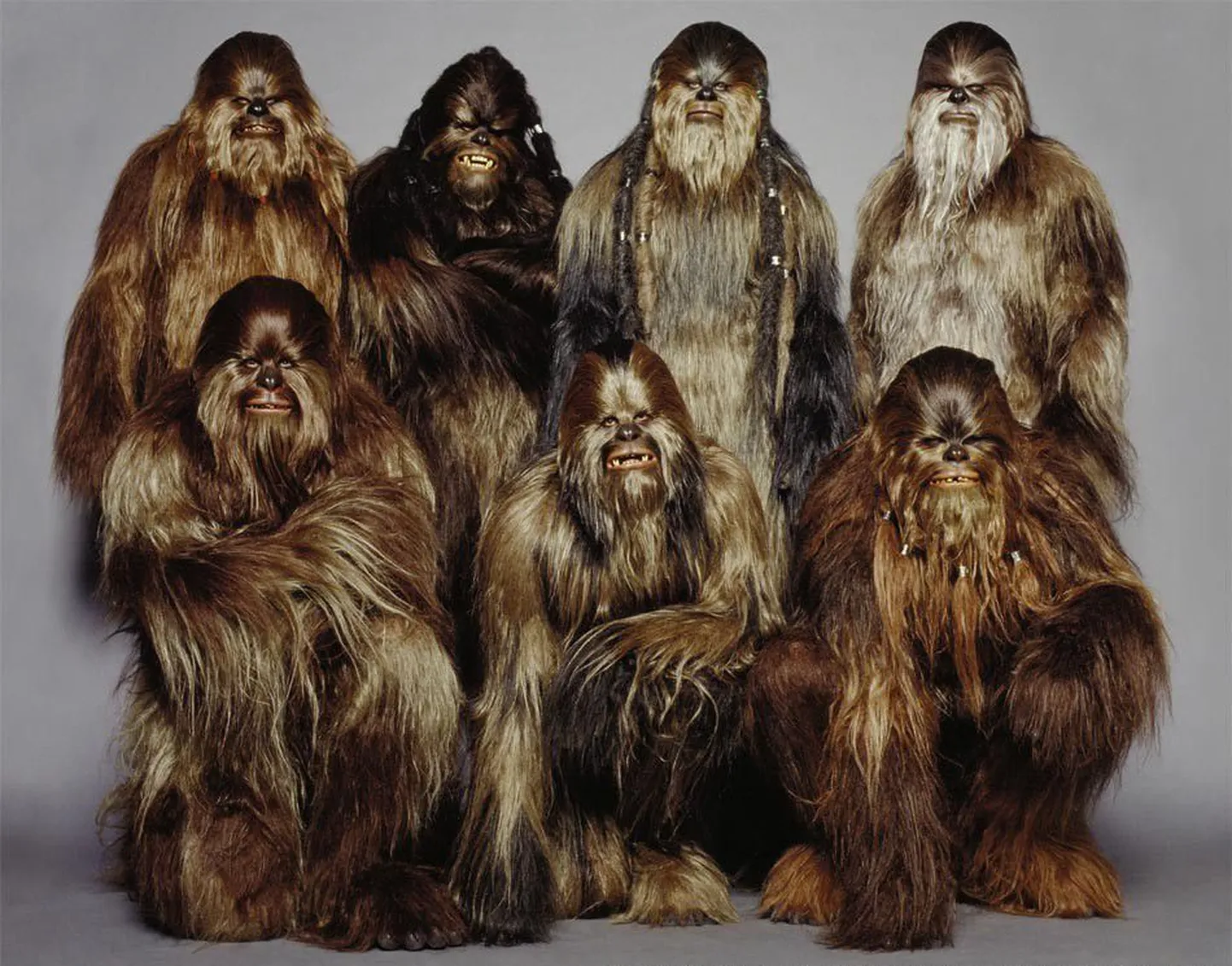 Wookie sõdalased