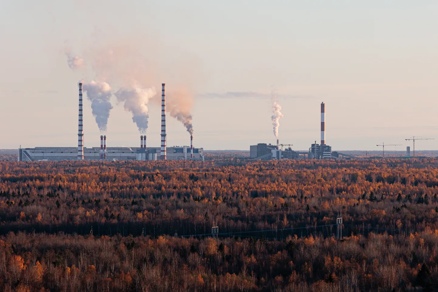 Сланцевые электростанции и заводы масел "Eesti Energia" расположены в деревне Аувере на территории города Нарва-Йыэсуу.