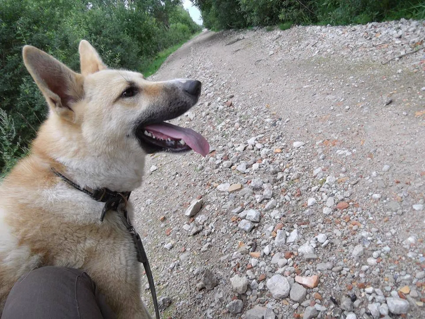 Feliks.