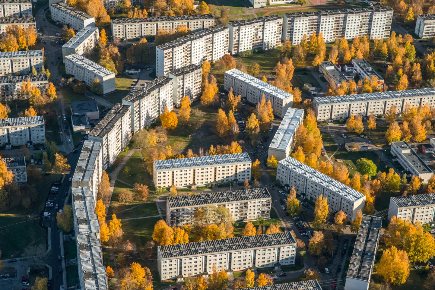 Плявниеки. Иллюстративное фото