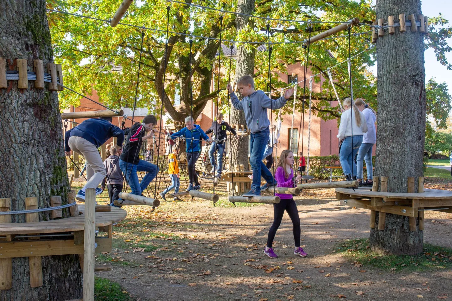 Viljandi mulluse kaasava eelarve ideevõistluse võiduidee, Kesklinna kooli ja huvikooli vaheline seiklusrada on nüüdseks ellu viidud. Tegeluspark on avatud kõikidele ja lapsi on seal alati rohkesti. See pilt on tehtud reede lõuna ajal.
