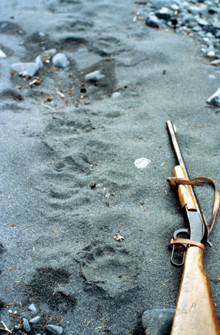 Relv ja väidetavad lumeinimese jäljed Californias 1970. aastatel