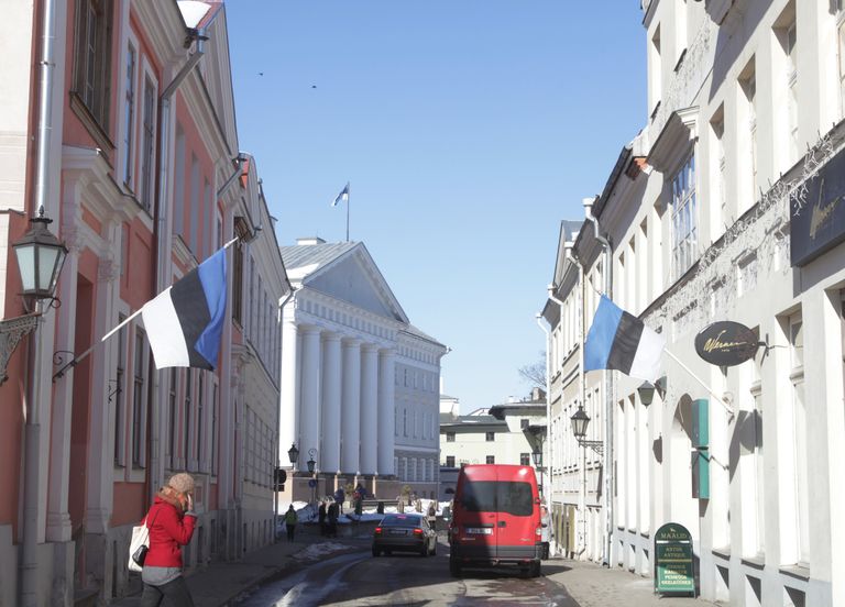 Государственные флаги в день родного языка в Тарту.