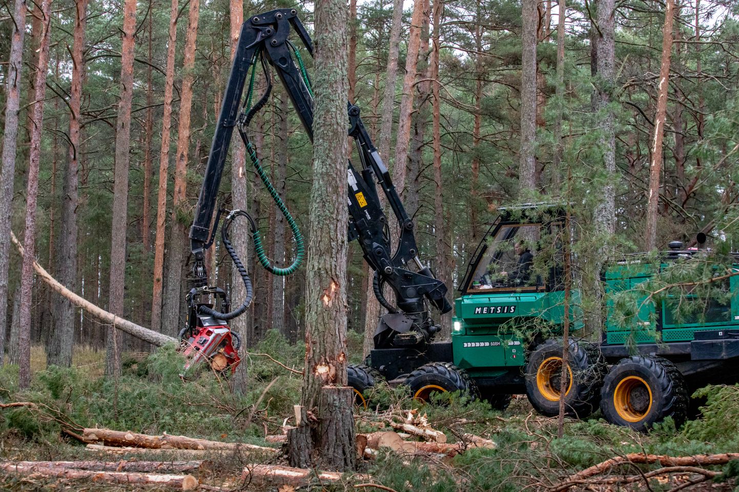 Riigimetsa Majandamise Keskuse (RMK) tänavune ligemale pooleteise miljoni euro suurune kommunikatsioonieelarve on võrdne umbes 30 000 tihumeetri puiduga.