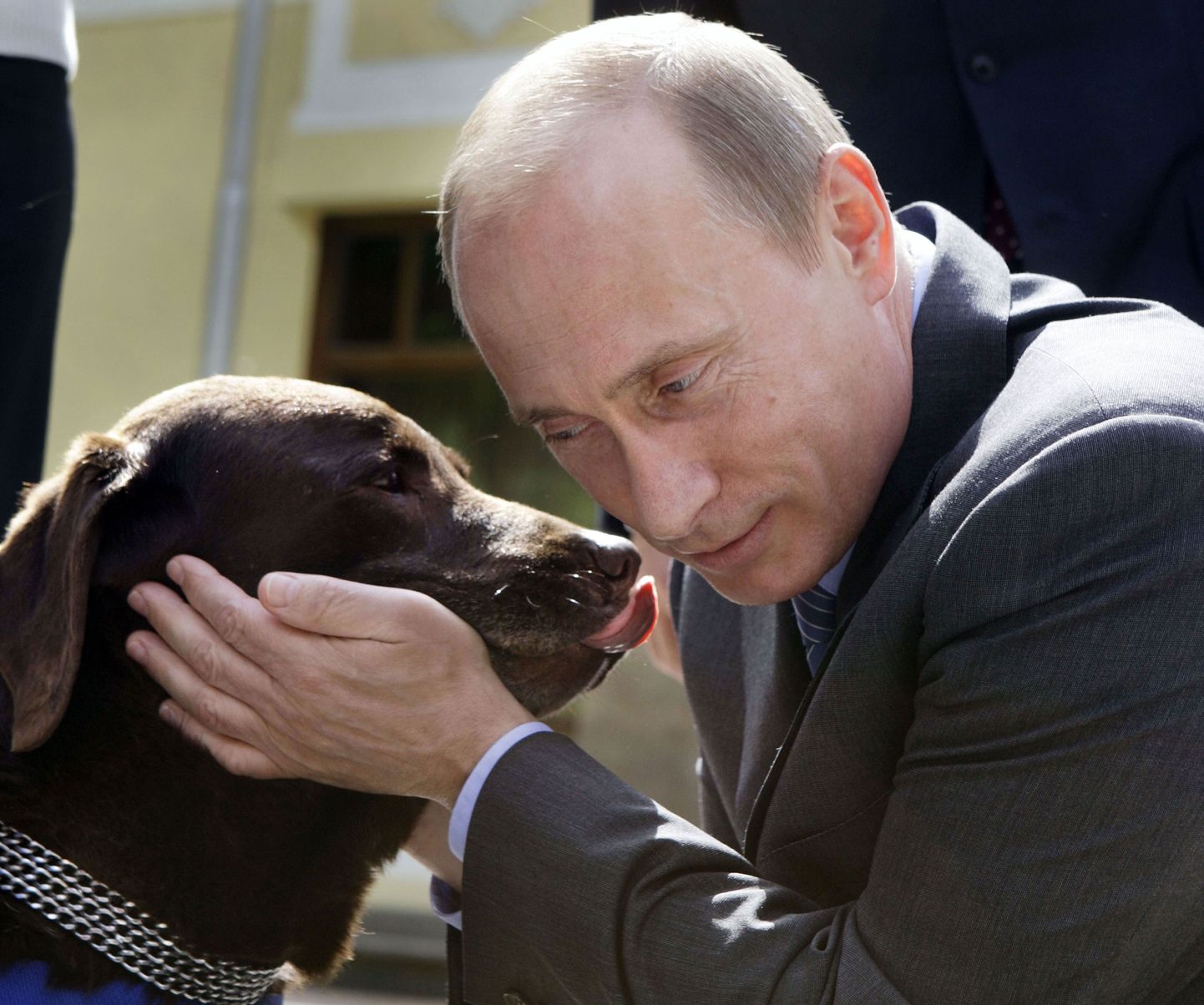 Владимир Путин со своим любимцем лабрадором Кони. Иллюстративное фото.