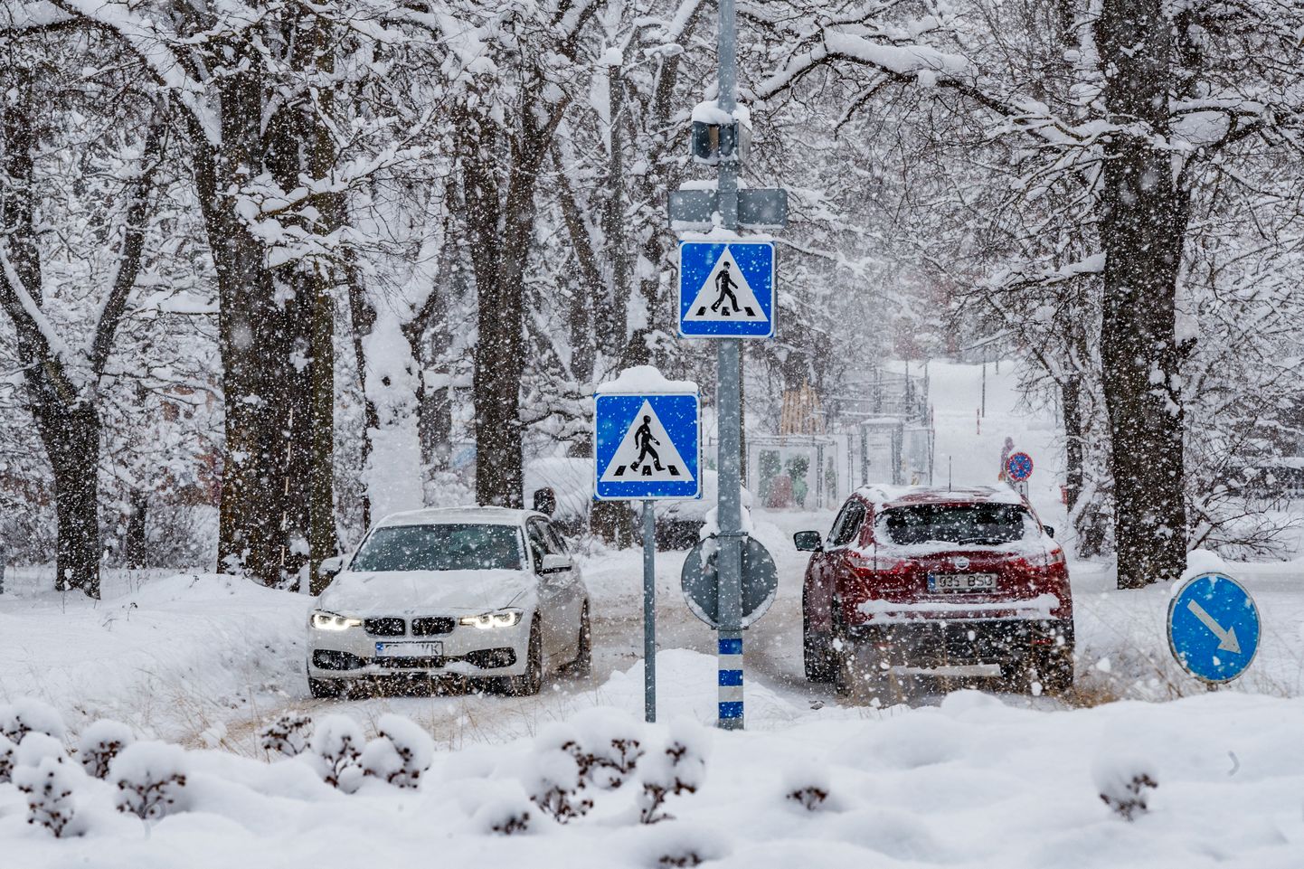 Снегопад в Таллинне.