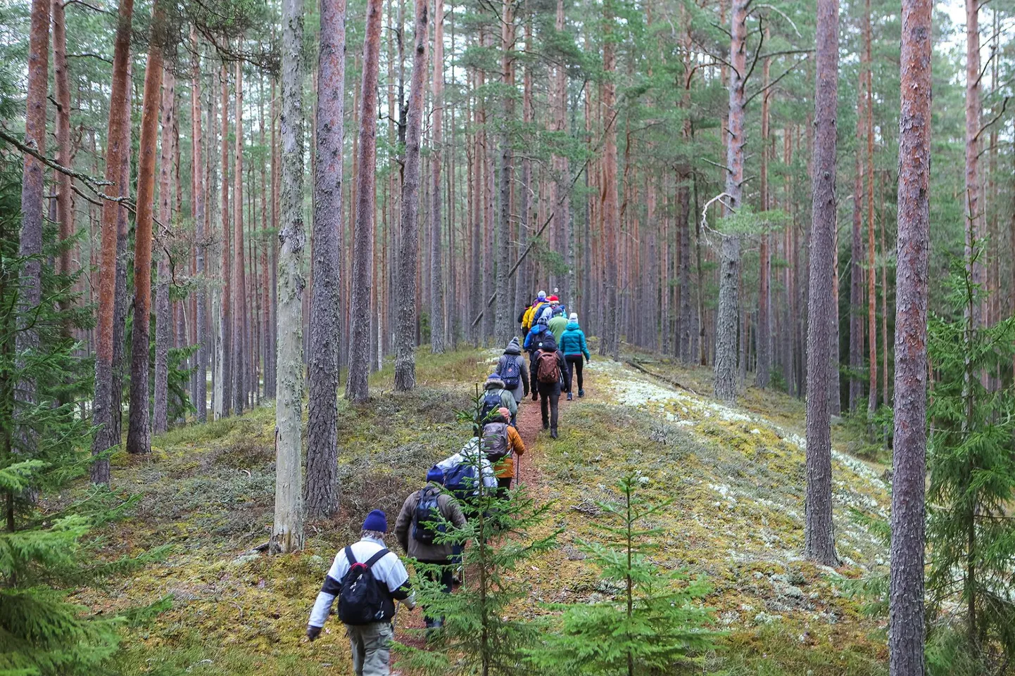 Oandu külastuskeskuses tulevad 29. septembril seenematkad.