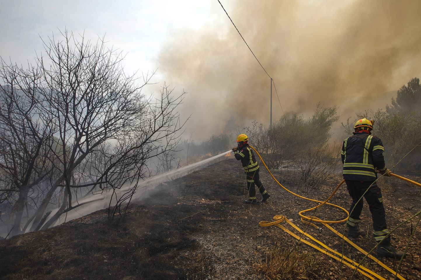 Tuletõrjujad kustutamas Hispaanias maastikupõlengut.