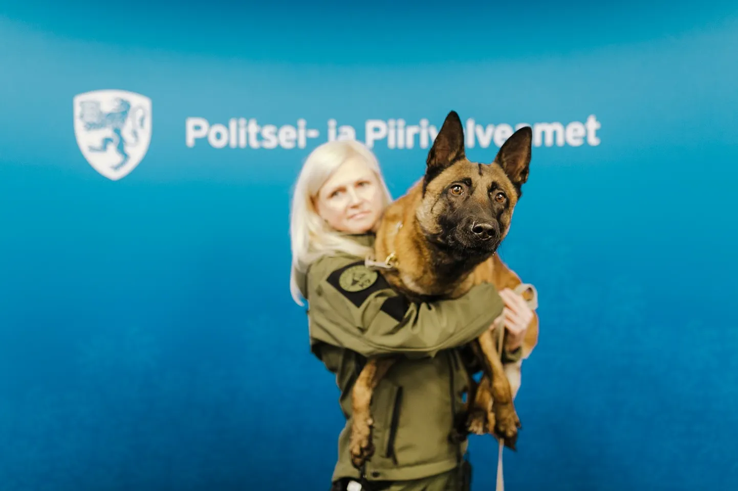 Politseikoer Sharky.