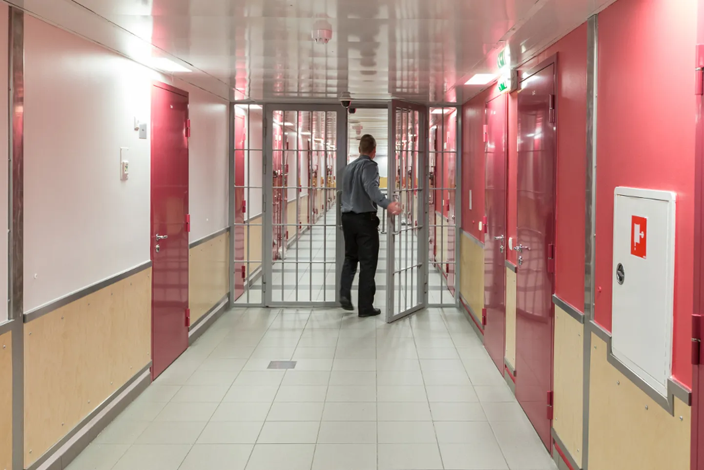 Vangistusseadus näeb ette, et kõik vangid peavad kohustuslikus korras tööd tegema, kui neile sellekohane korraldus antakse. Peamiselt on need seotud vanglasiseste majandustöödega. 

MATTI KÄMÄRÄ
