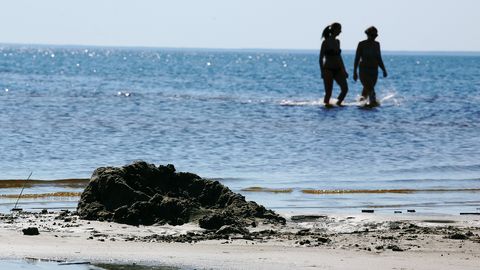Ekstreemne olukord: Eesti rannikul on arenemas mere kuumalaine