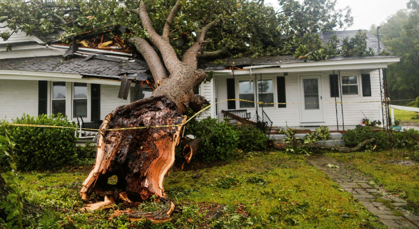 Tormi tõttu majale kukkunud puu Põhja-Carolina osariigis.