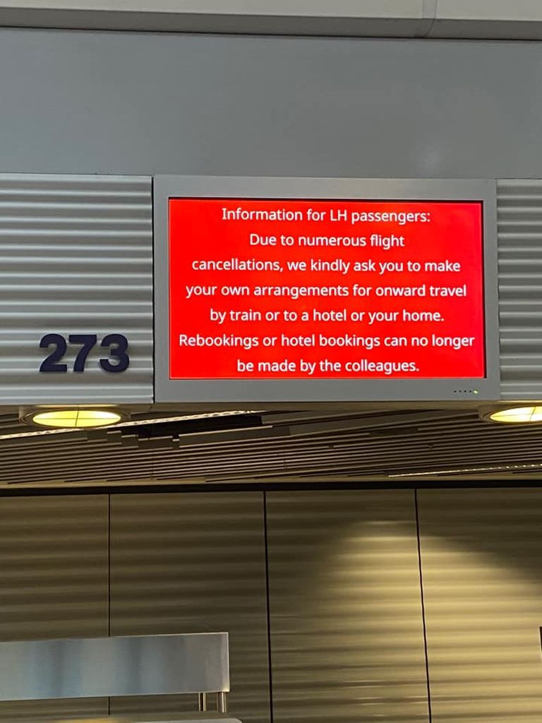 В аэропорту сообщают: «Пожалуйста, бронируйте все сами, а затем ходатайствуйте о компенсации».