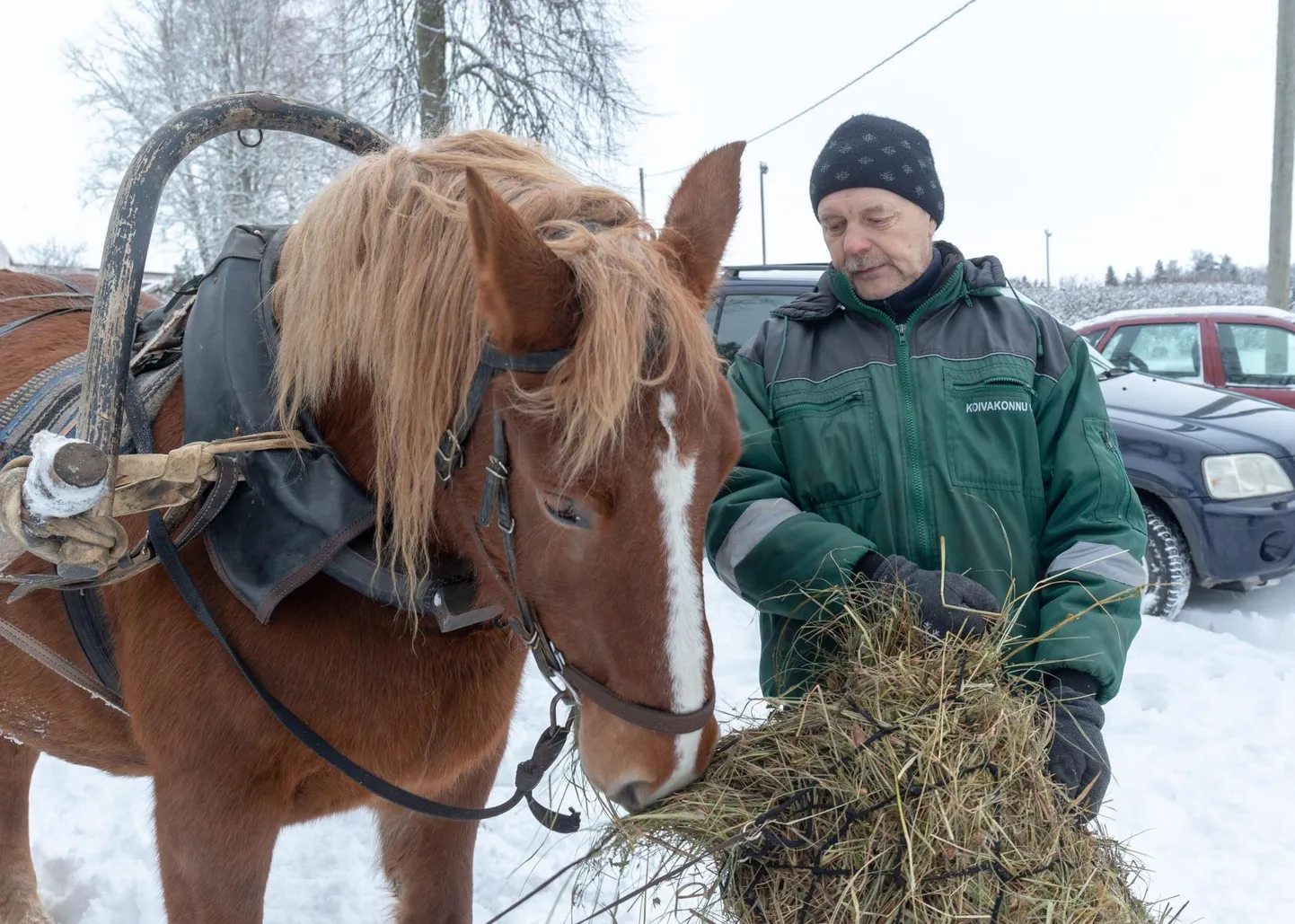 Kalev Raudsepp ütleb, et tänapäevane elutempo ei anna aega ja võimalust hobustega piisavalt tegeleda.