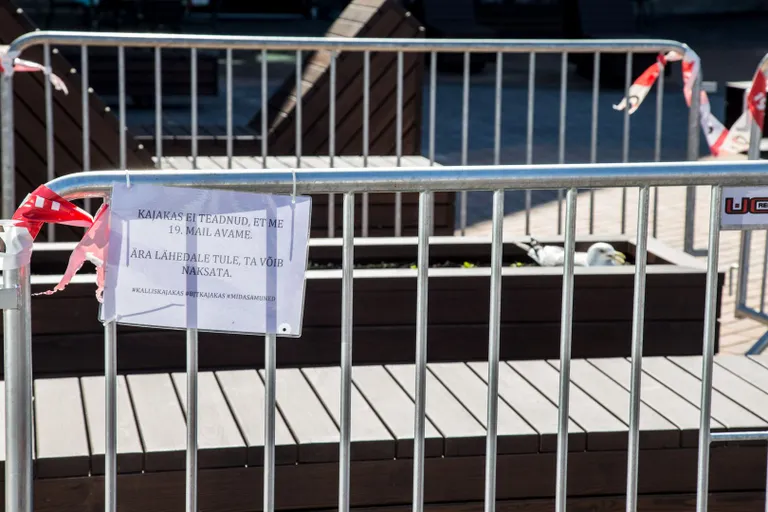 Balti jaama turu juures võttis koha sisse terrorkajakas
